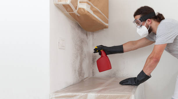 Professional Attic Mold Removal technician working in Deerfield, IL