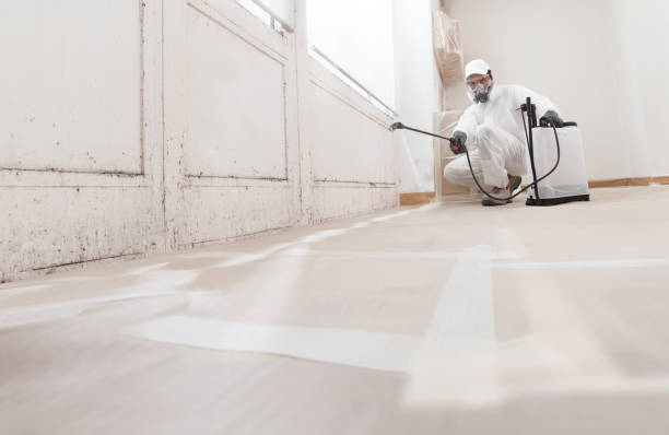 24/7 Emergency Attic Mold Removal experts in Deerfield, IL